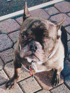 Winston1