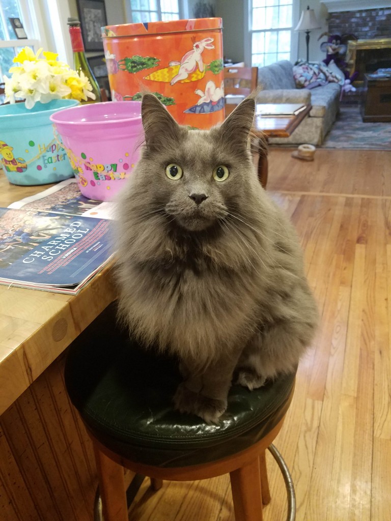 Budsters
