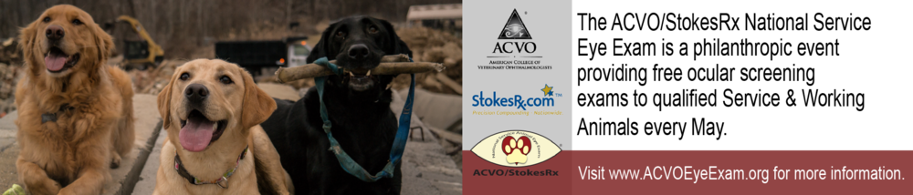 service dog digital banner