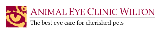 Animal Eye Clinic